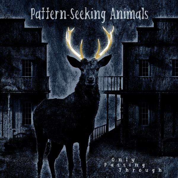 Pattern-Seeking Animals - Only Passing Through. 2LP/CD.